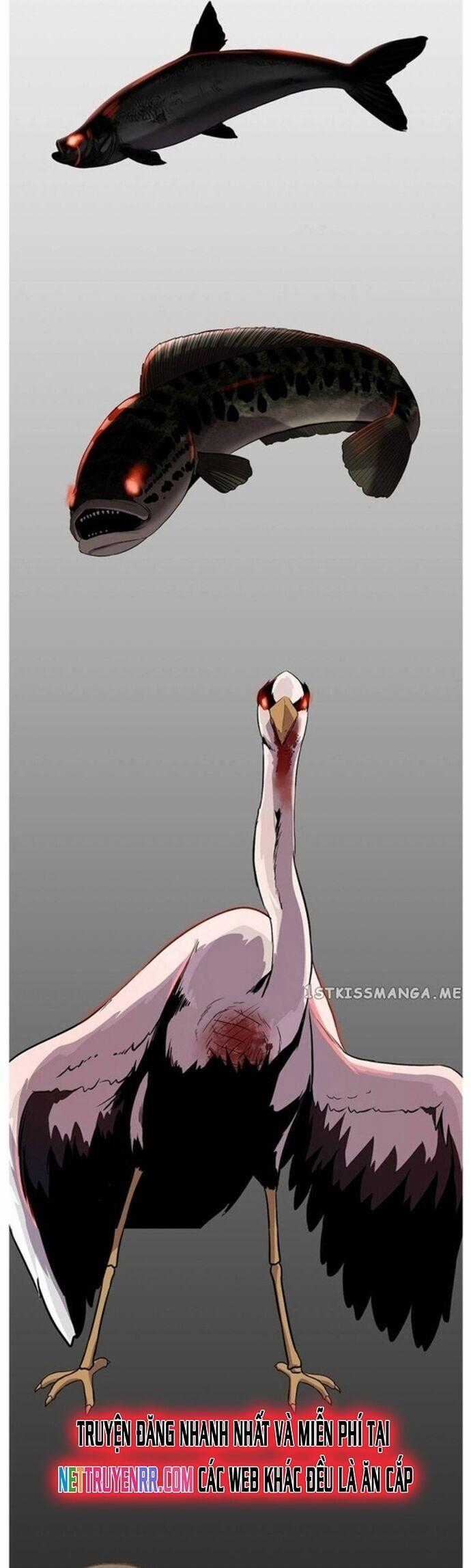 Hoá Thân Thành Cá Chapter 47 trang 50