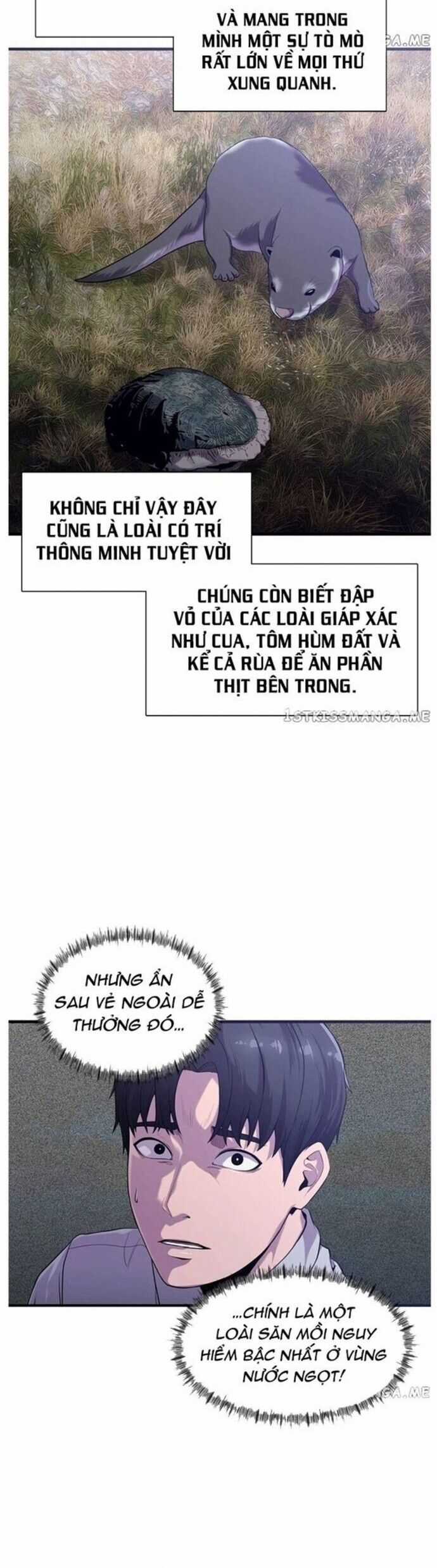 Hoá Thân Thành Cá Chapter 48 trang 19