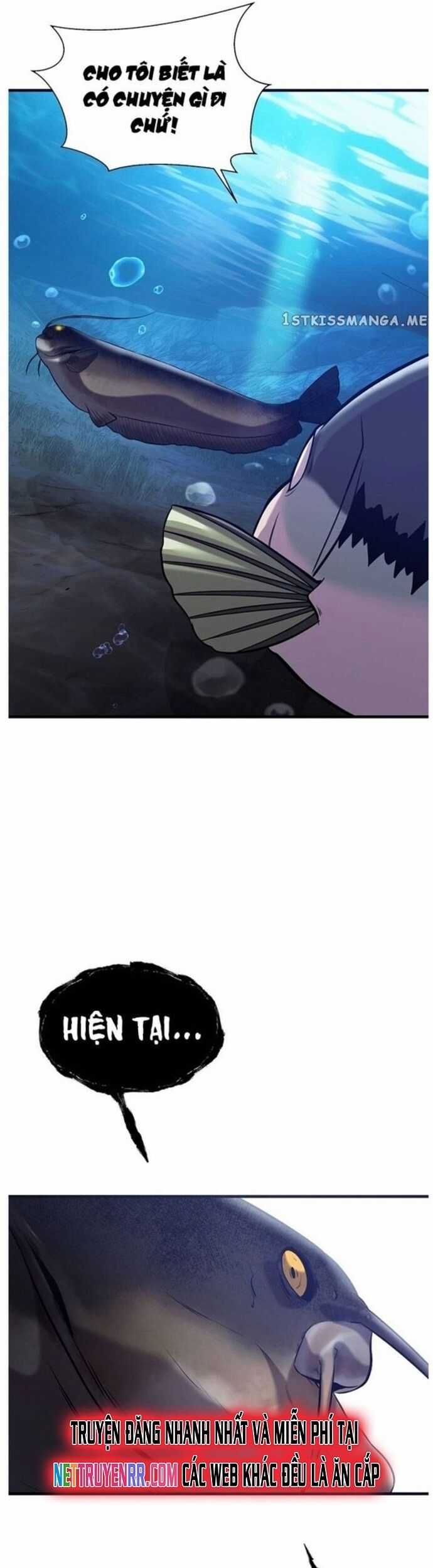 Hoá Thân Thành Cá Chapter 49 trang 28