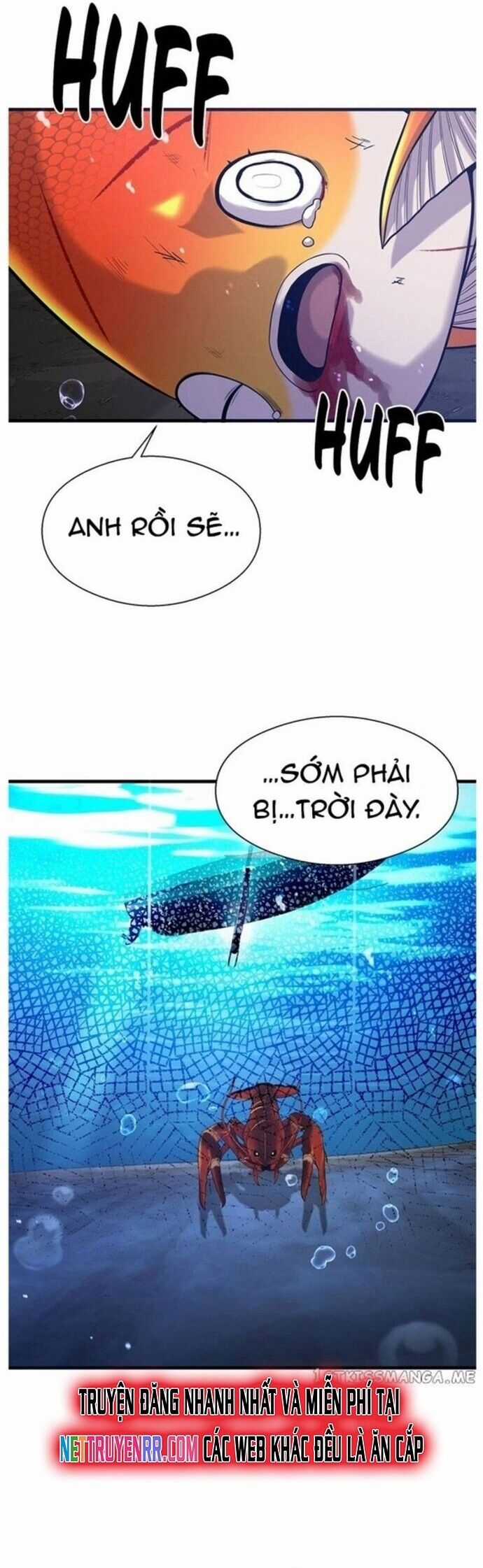 Hoá Thân Thành Cá Chapter 49 trang 49
