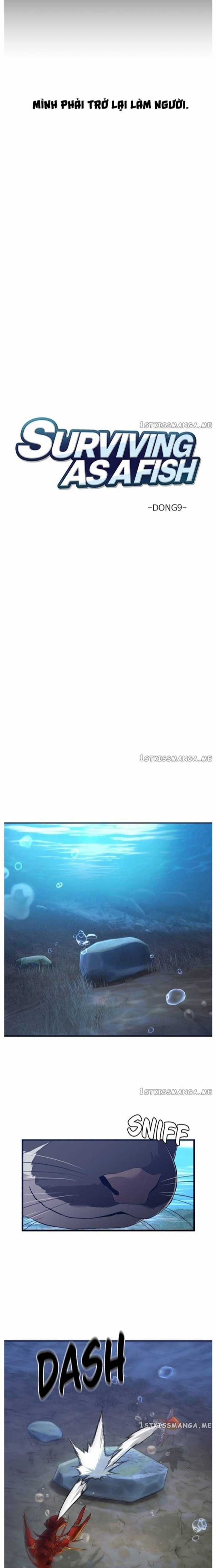 Hoá Thân Thành Cá Chapter 51 trang 6