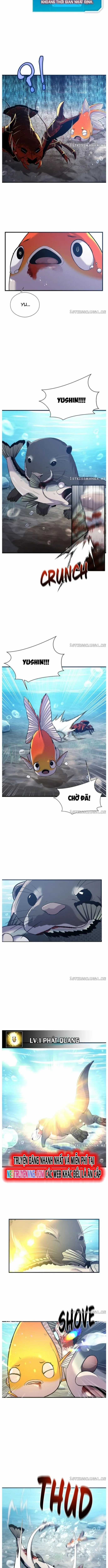 Hoá Thân Thành Cá Chapter 52 trang 5