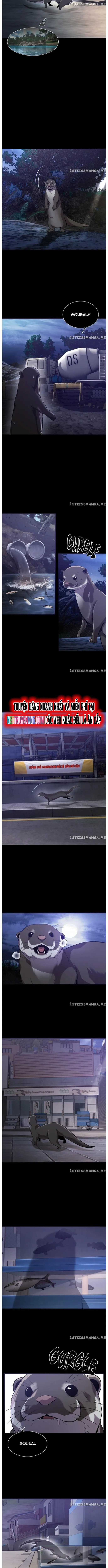 Hoá Thân Thành Cá Chapter 52 trang 7