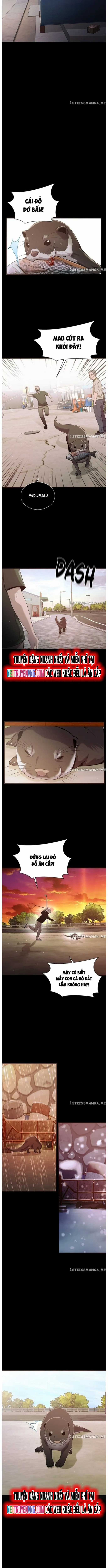 Hoá Thân Thành Cá Chapter 52 trang 8