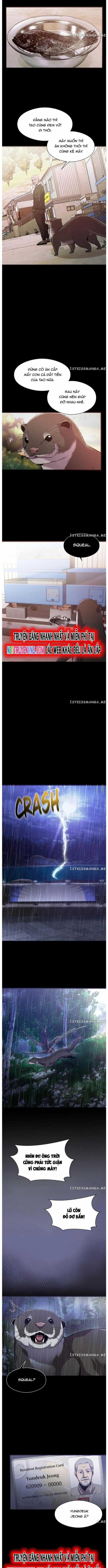 Hoá Thân Thành Cá Chapter 52 trang 9