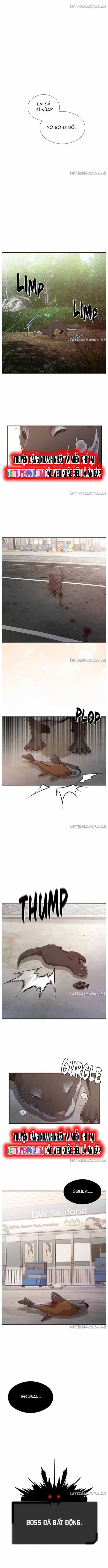 Hoá Thân Thành Cá Chapter 53 trang 3