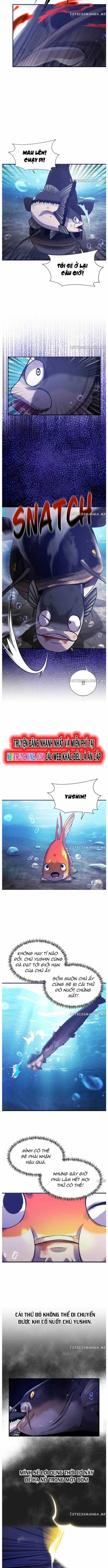 Hoá Thân Thành Cá Chapter 54 trang 4