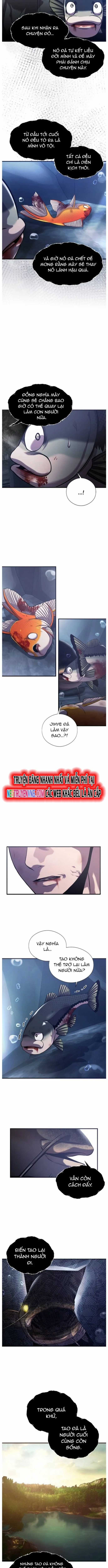 Hoá Thân Thành Cá Chapter 55 trang 3