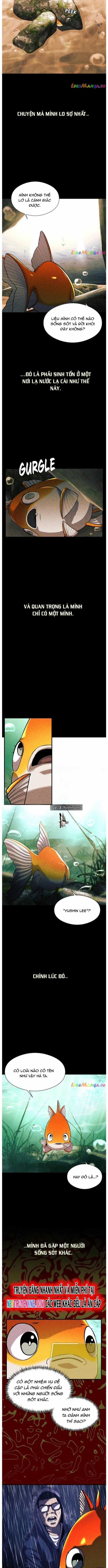 Hoá Thân Thành Cá Chapter 56 trang 3