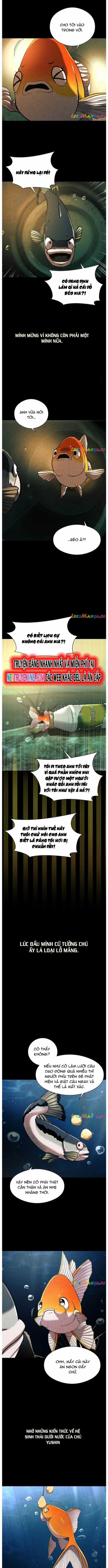 Hoá Thân Thành Cá Chapter 56 trang 5