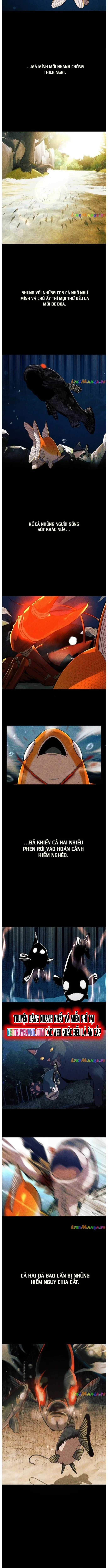 Hoá Thân Thành Cá Chapter 56 trang 6