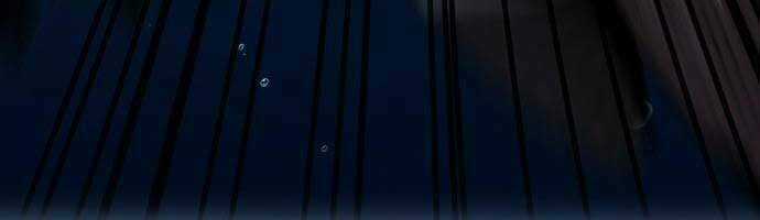 Hoá Thân Thành Cá Chapter 8 trang 21