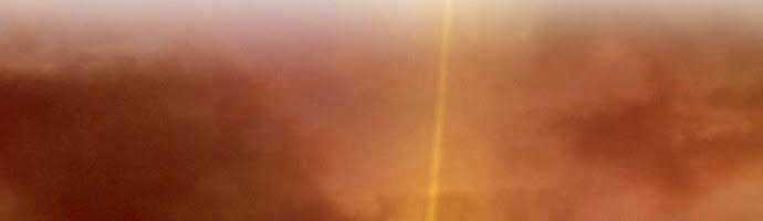 Hoá Thân Thành Cá Chapter 9 trang 21