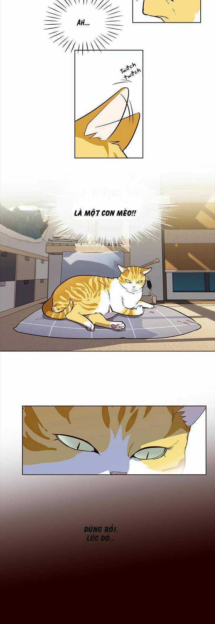 Hoá Thân Thành Mèo - Eleceed Chapter 1 trang 25