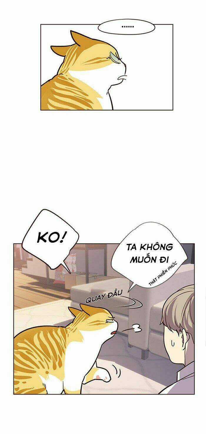 Hoá Thân Thành Mèo - Eleceed Chapter 10 trang 29