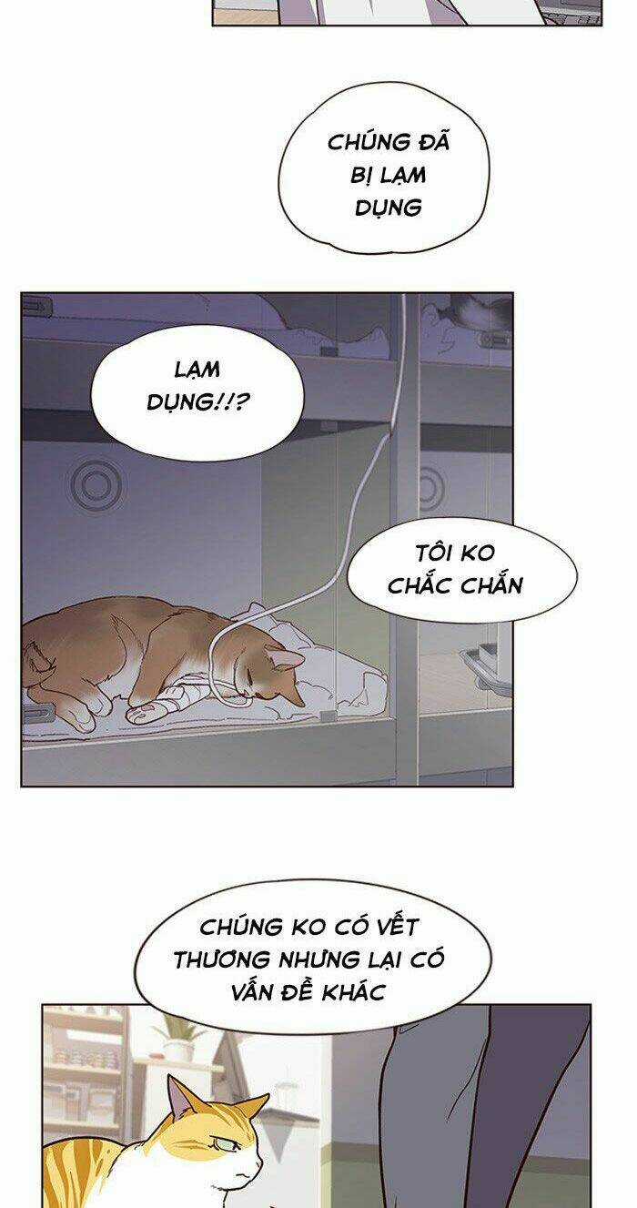 Hoá Thân Thành Mèo - Eleceed Chapter 10 trang 47