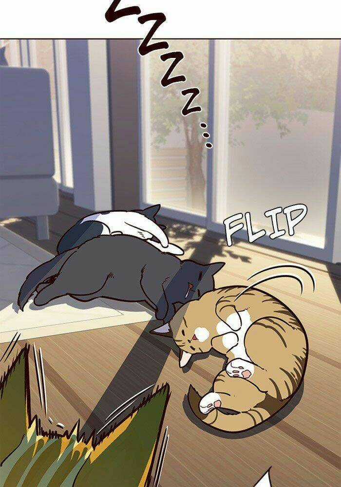 Hoá Thân Thành Mèo - Eleceed Chapter 11 trang 36