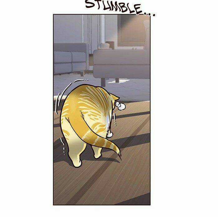 Hoá Thân Thành Mèo - Eleceed Chapter 11 trang 43