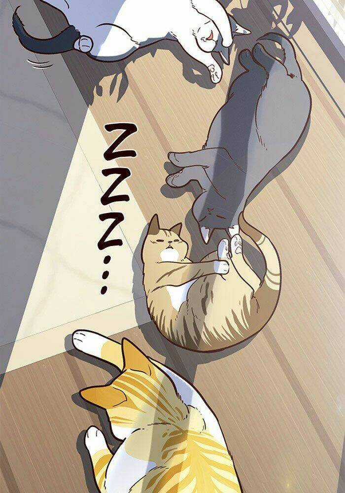 Hoá Thân Thành Mèo - Eleceed Chapter 11 trang 48