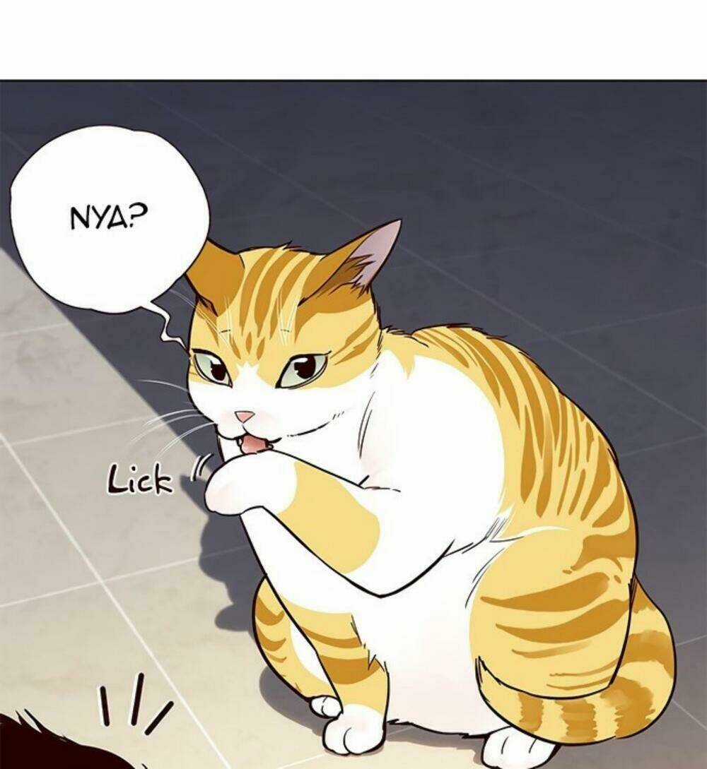 Hoá Thân Thành Mèo - Eleceed Chapter 19 trang 97