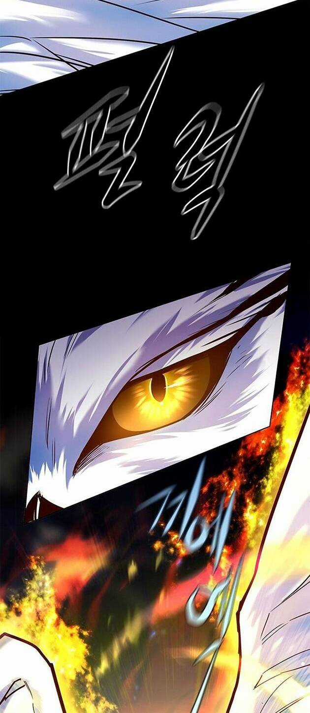 Hoá Thân Thành Mèo - Eleceed Chapter 221 trang 71