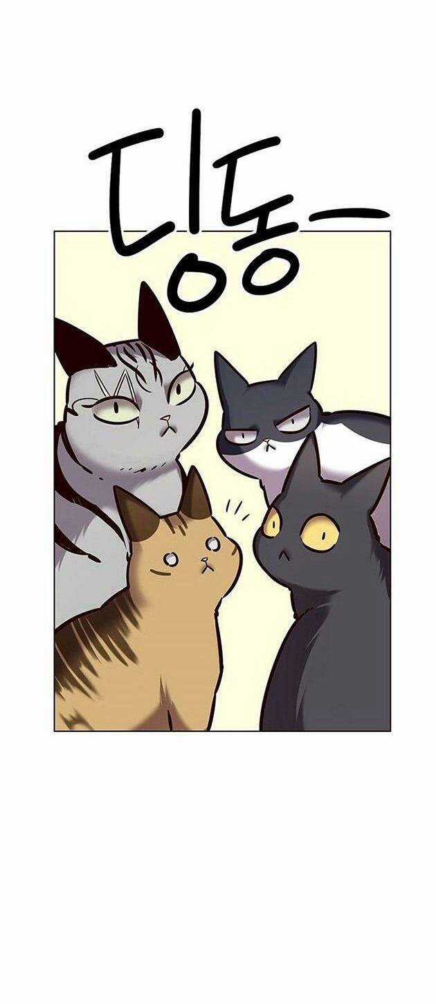 Hoá Thân Thành Mèo - Eleceed Chapter 223 trang 32