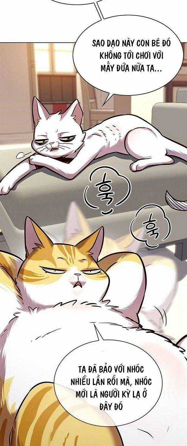 Hoá Thân Thành Mèo - Eleceed Chapter 225 trang 40