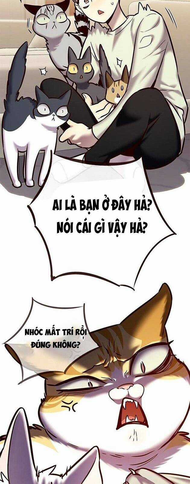 Hoá Thân Thành Mèo - Eleceed Chapter 225 trang 44