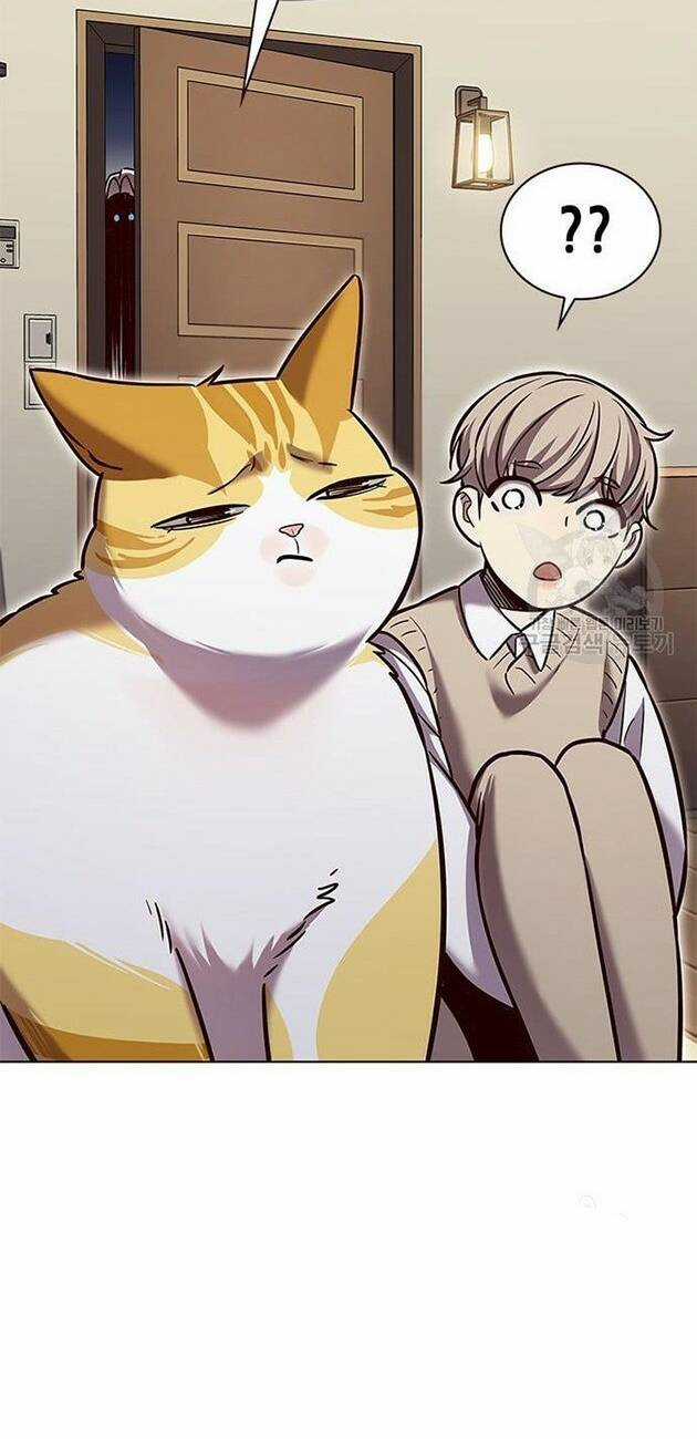 Hoá Thân Thành Mèo - Eleceed Chapter 228 trang 13