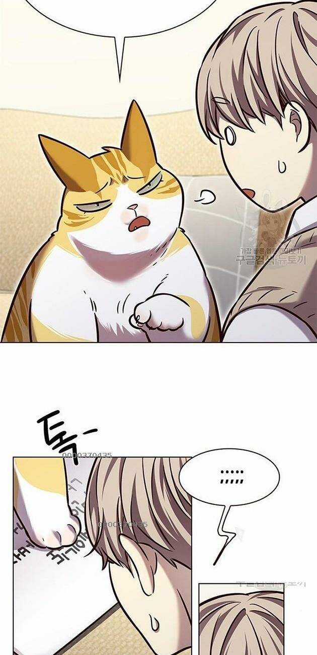 Hoá Thân Thành Mèo - Eleceed Chapter 228 trang 16