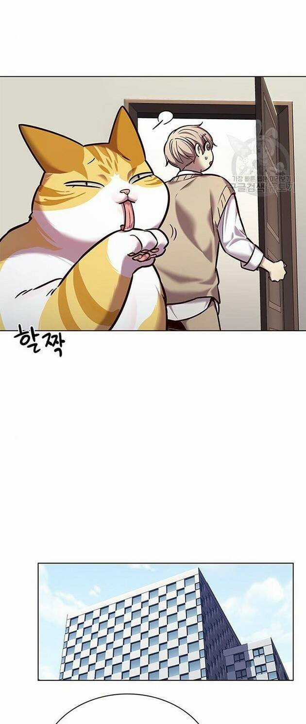 Hoá Thân Thành Mèo - Eleceed Chapter 228 trang 22