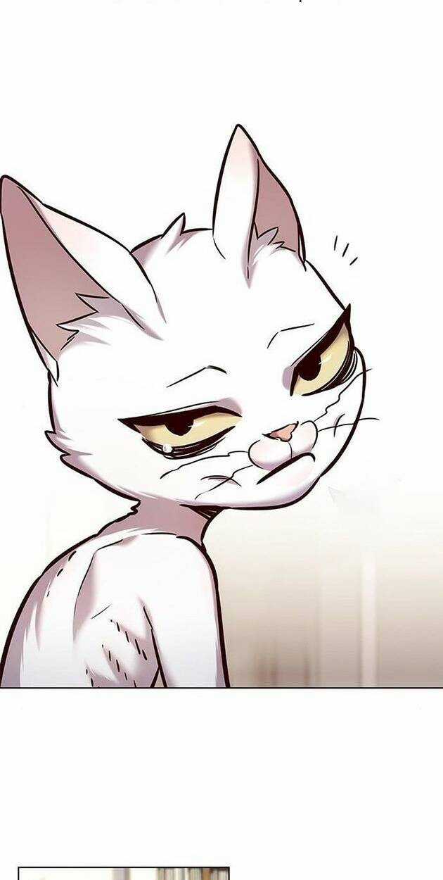 Hoá Thân Thành Mèo - Eleceed Chapter 228 trang 7