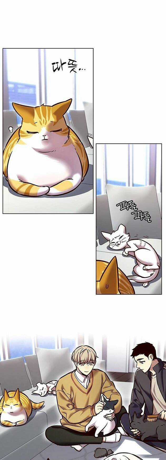 Hoá Thân Thành Mèo - Eleceed Chapter 229 trang 18