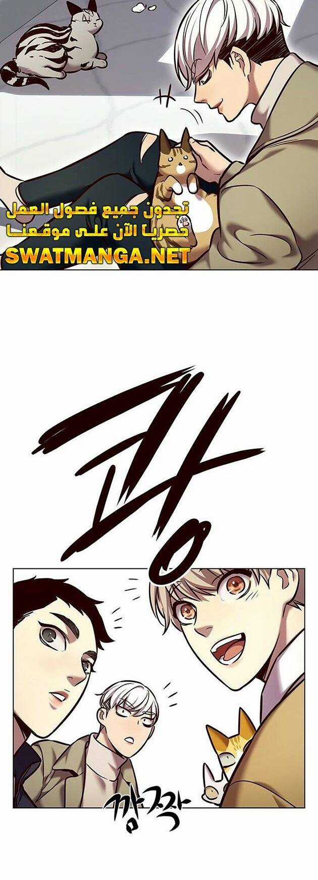 Hoá Thân Thành Mèo - Eleceed Chapter 229 trang 19