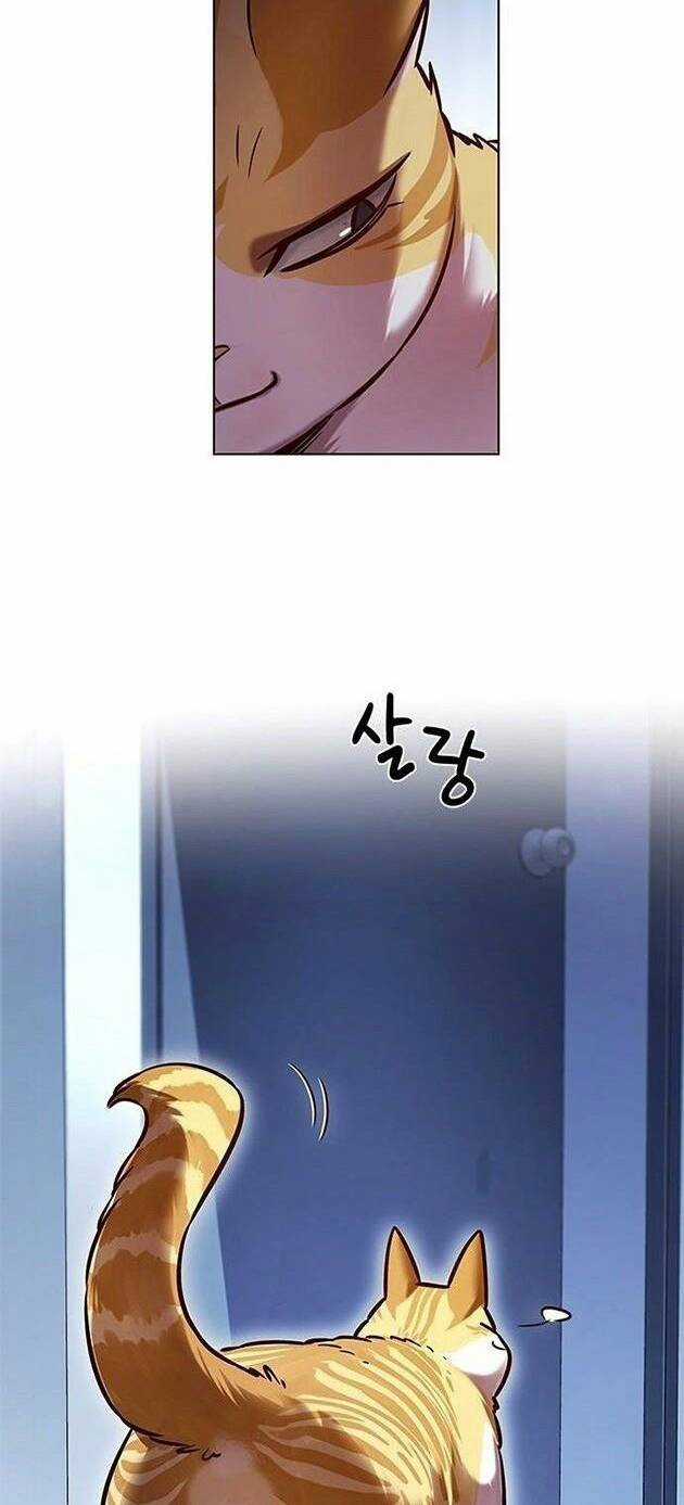 Hoá Thân Thành Mèo - Eleceed Chapter 229 trang 49