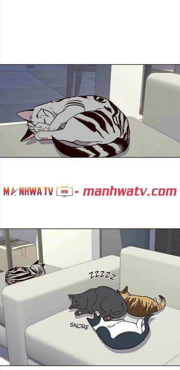 Hoá Thân Thành Mèo - Eleceed Chapter 23 trang 29