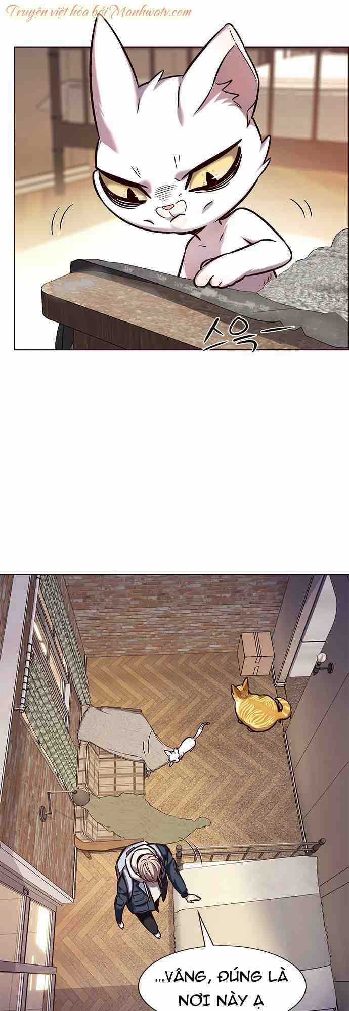 Hoá Thân Thành Mèo - Eleceed Chapter 231 trang 34