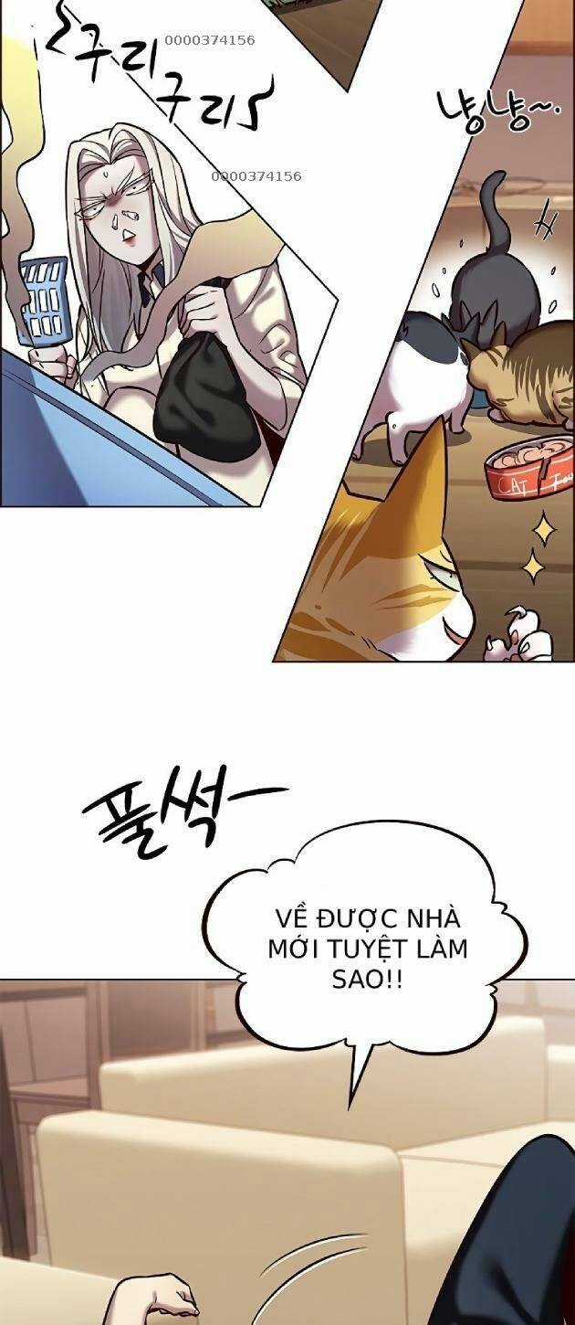 Hoá Thân Thành Mèo - Eleceed Chapter 239 trang 4