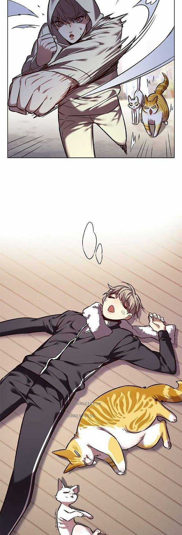 Hoá Thân Thành Mèo - Eleceed Chapter 239 trang 48