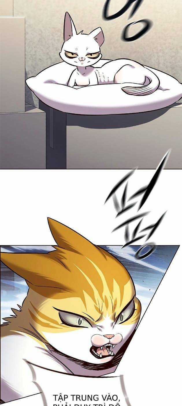 Hoá Thân Thành Mèo - Eleceed Chapter 241 trang 8