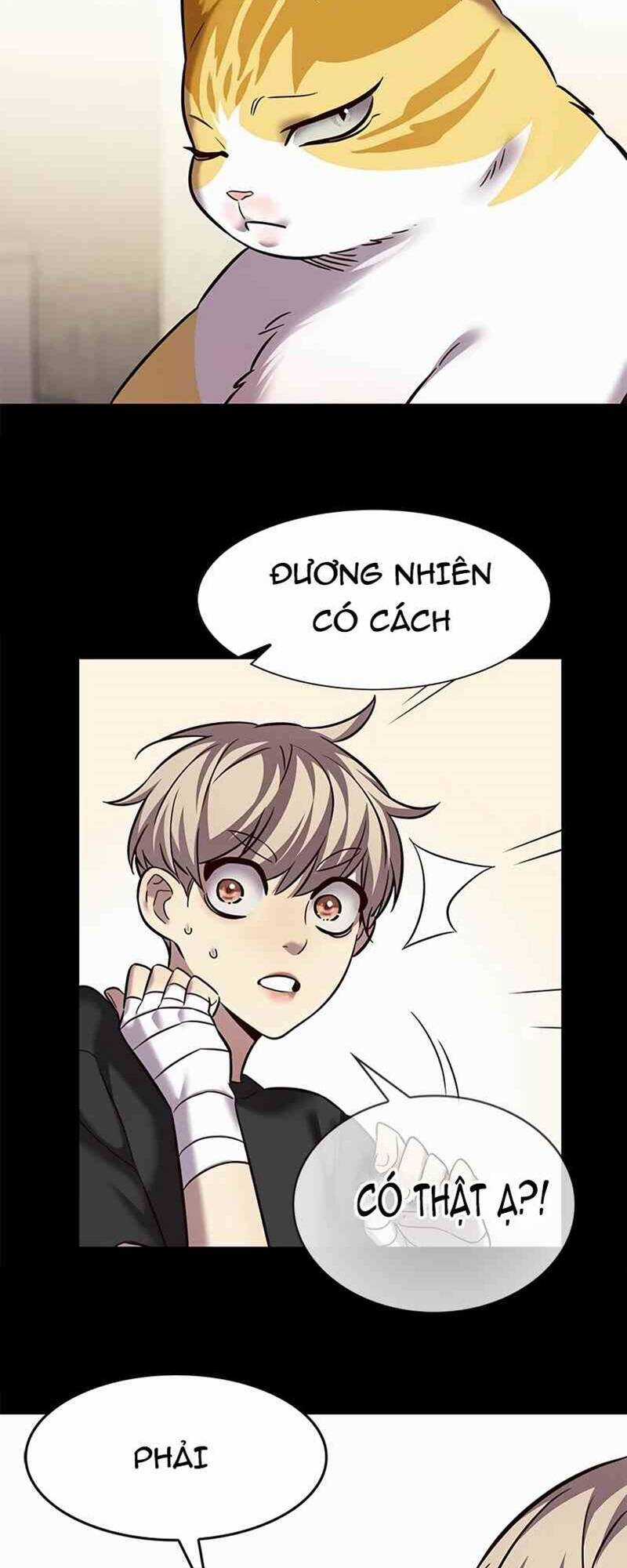 Hoá Thân Thành Mèo - Eleceed Chapter 244 trang 16