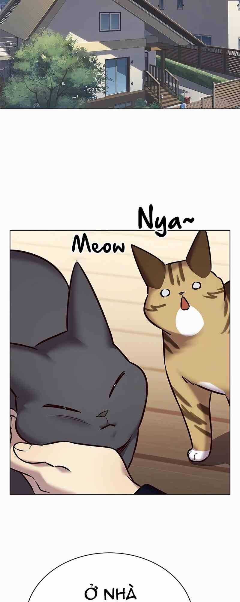 Hoá Thân Thành Mèo - Eleceed Chapter 244 trang 40