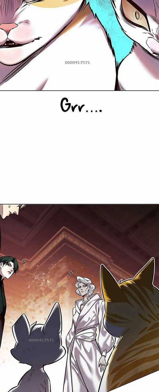 Hoá Thân Thành Mèo - Eleceed Chapter 246 trang 16