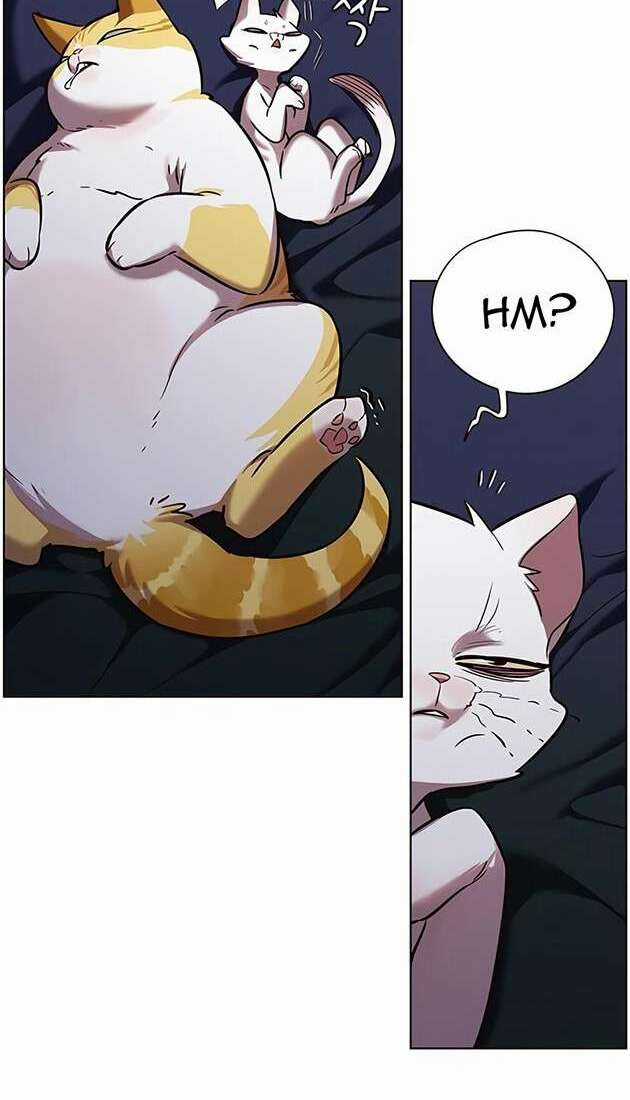 Hoá Thân Thành Mèo - Eleceed Chapter 246 trang 58