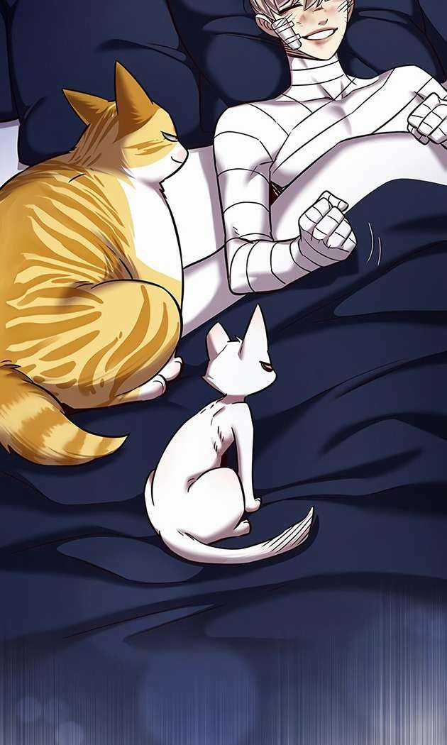 Hoá Thân Thành Mèo - Eleceed Chapter 253 trang 70