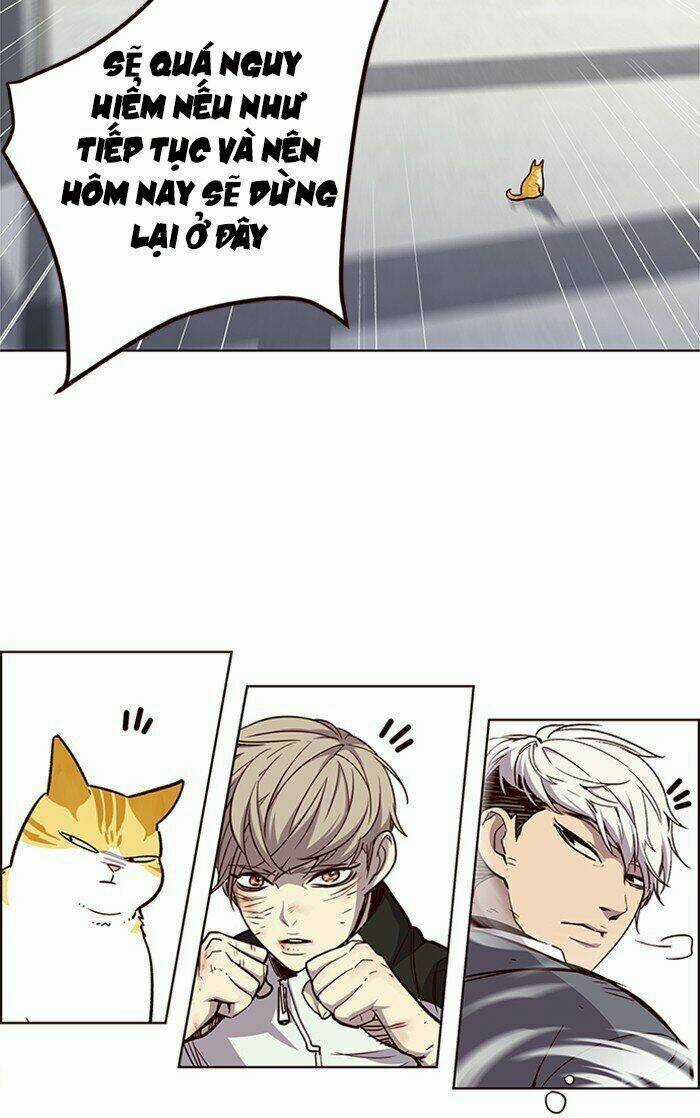 Hoá Thân Thành Mèo - Eleceed Chapter 26 trang 18