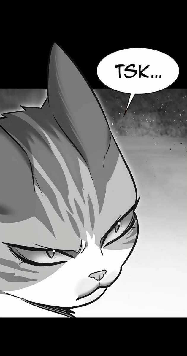 Hoá Thân Thành Mèo - Eleceed Chapter 261 trang 5