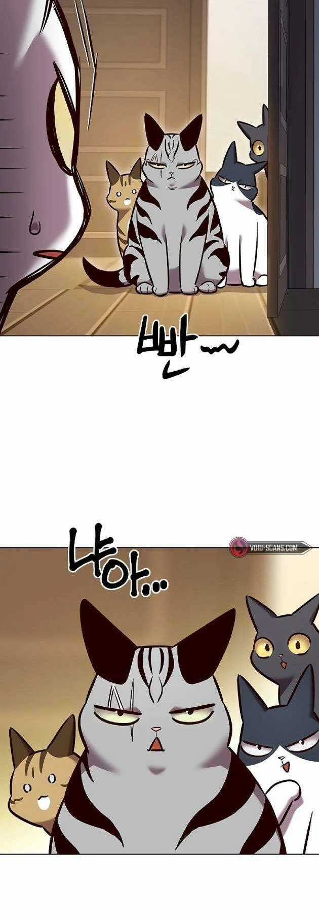 Hoá Thân Thành Mèo - Eleceed Chapter 262 trang 58