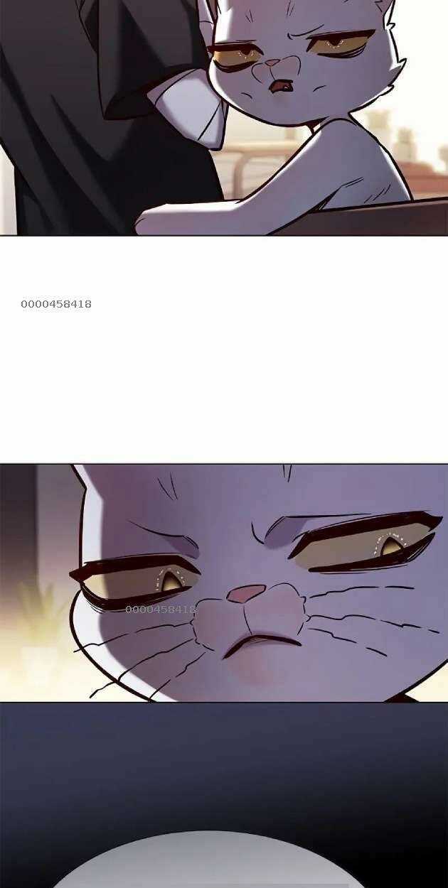 Hoá Thân Thành Mèo - Eleceed Chapter 263 trang 14