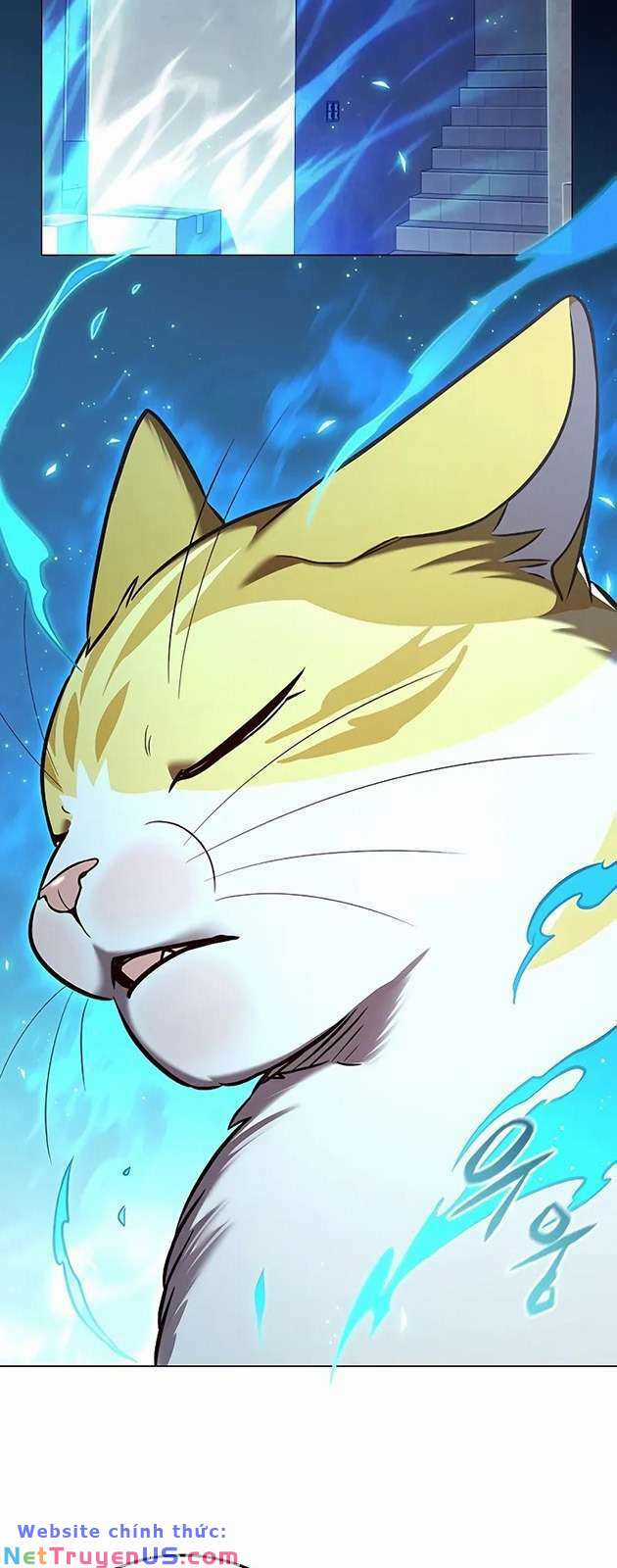 Hoá Thân Thành Mèo - Eleceed Chapter 269 trang 29